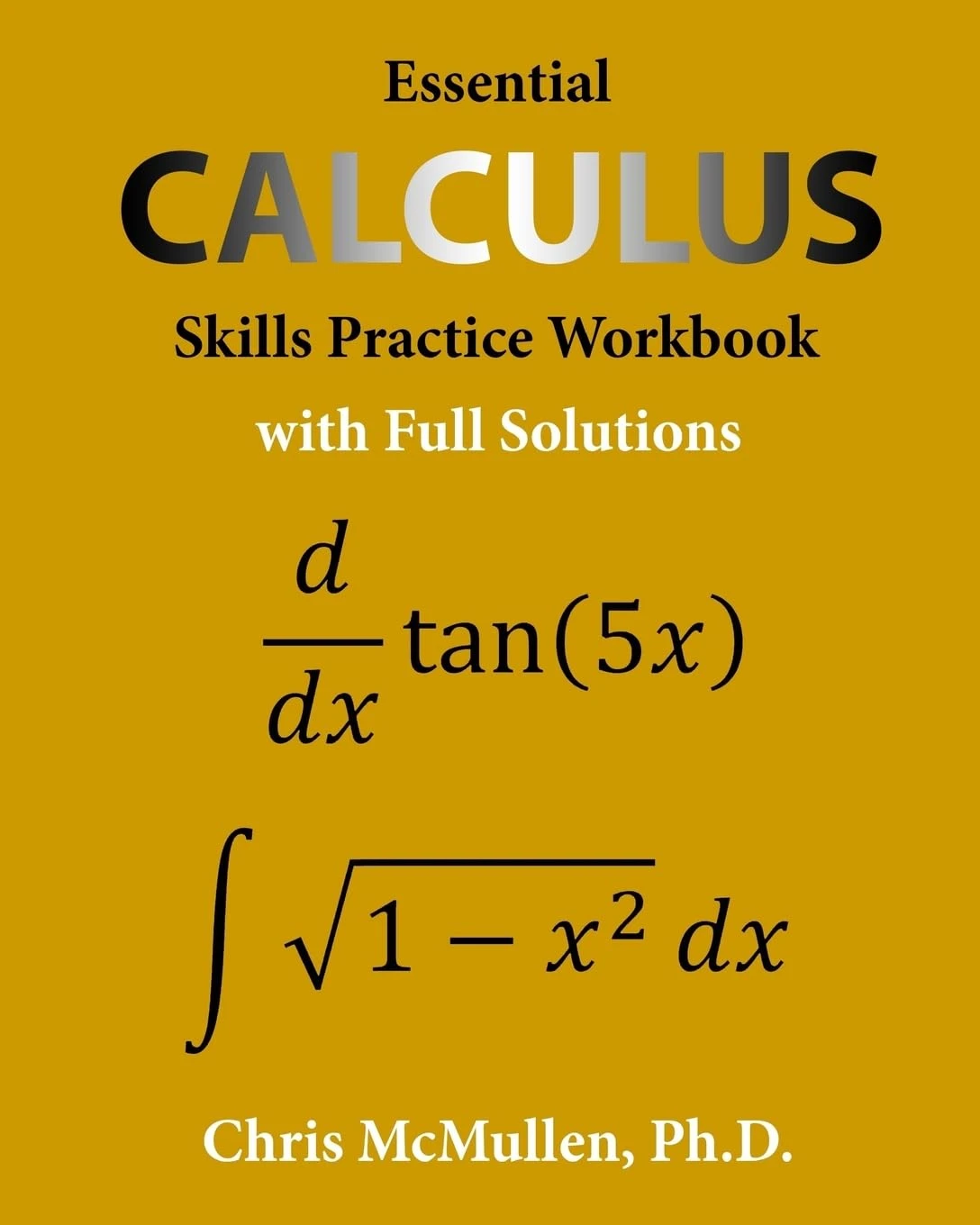 Essential Calculus Skills Practice Workbook with Full Solutions by Chris McMulle